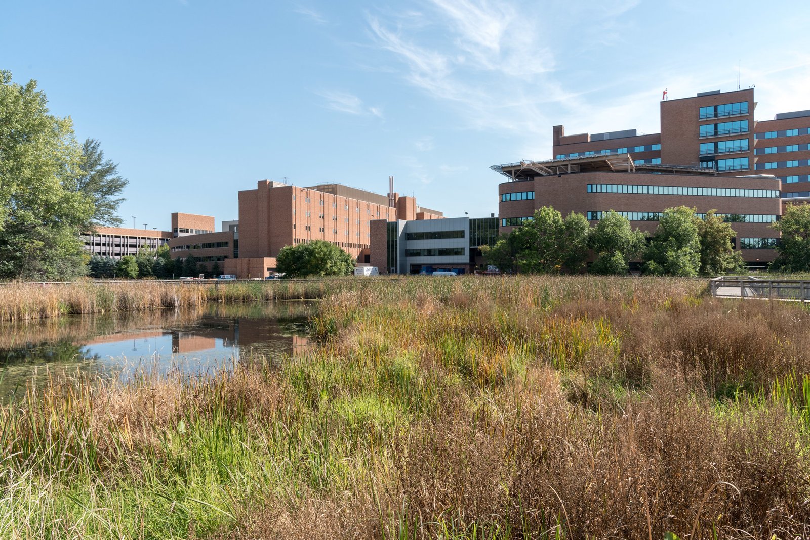 “A Peaceful Meander” Summer 2018, Methodist Hospital, St. Louis Park, MN
