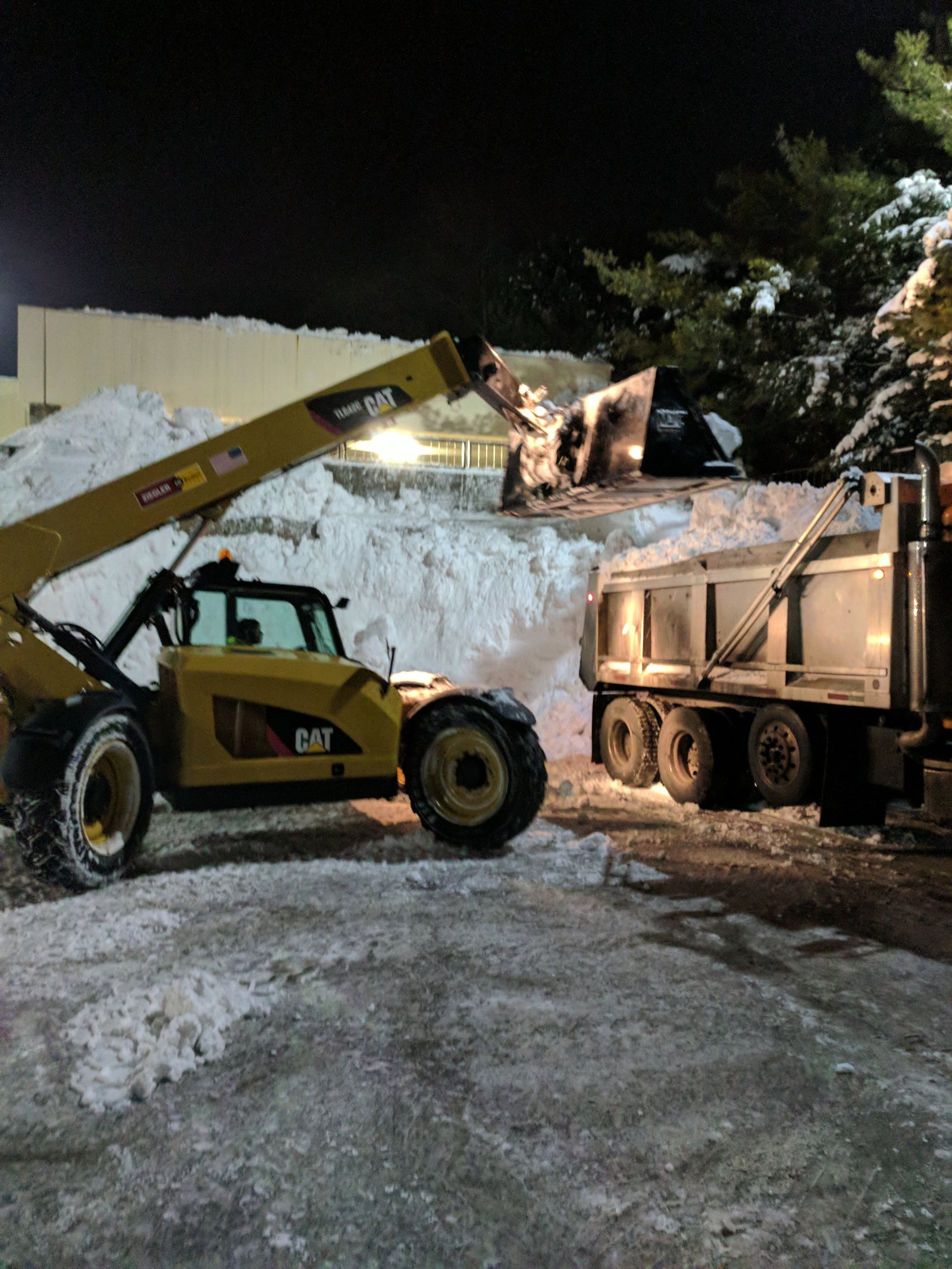 IMG_20180125_234623.jpg